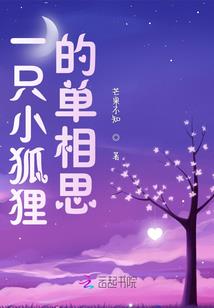 幻想攻略组